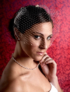 Pearl Bandeau Birdcage Veils with Comb