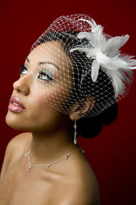 Basic Birdcage Flyaway with Coque Feathers with Swarovski Crystal Brooch Center