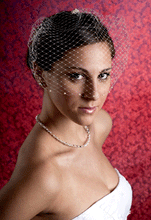 Load image into Gallery viewer, Pearl Bandeau Birdcage Veils with Comb