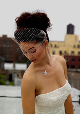 Plain Eye Catcher Birdcage Veil