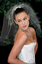 Load image into Gallery viewer, 18&quot; Birdcage veil